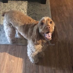 Meet your Posher, Kristin